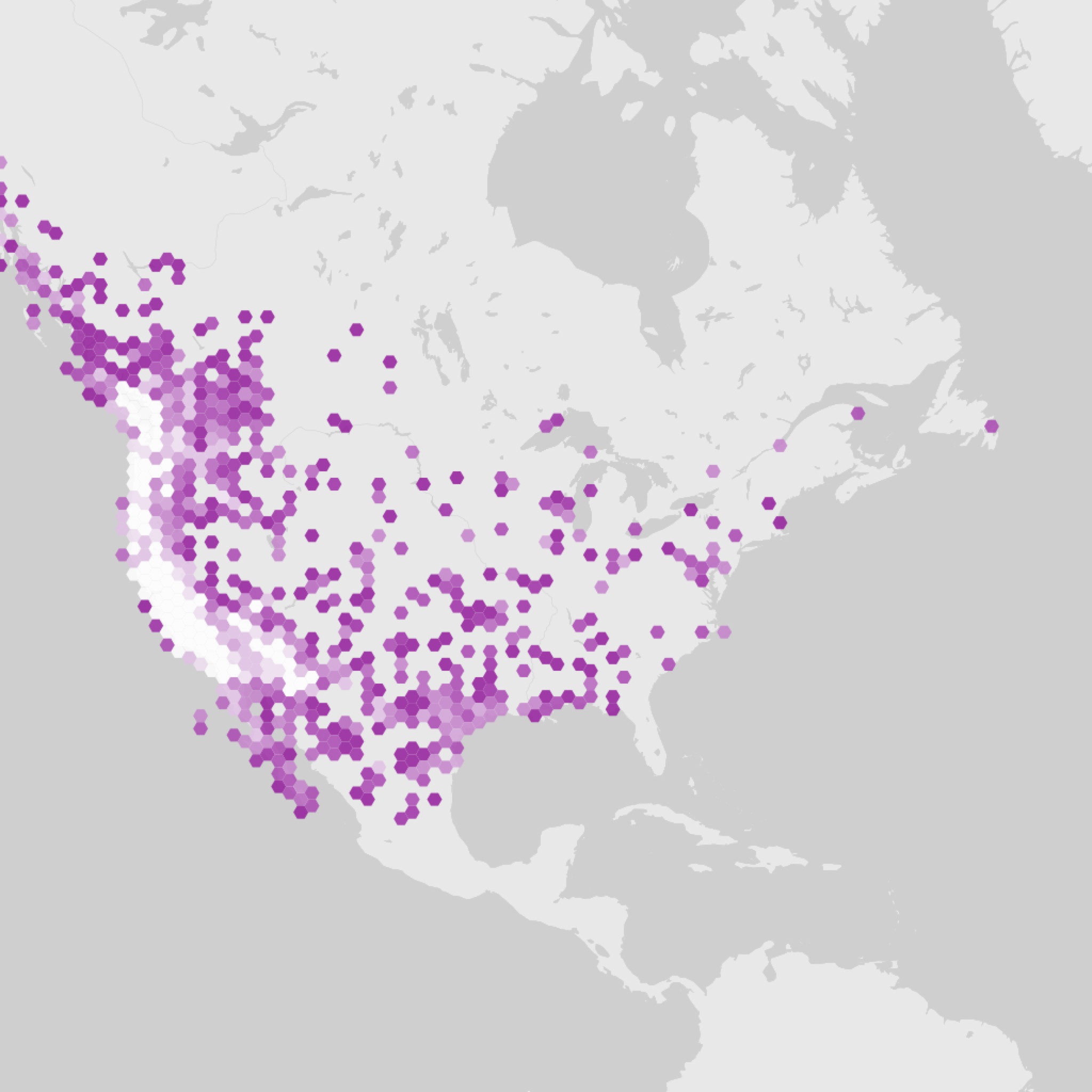 GBIF range, purple and white style