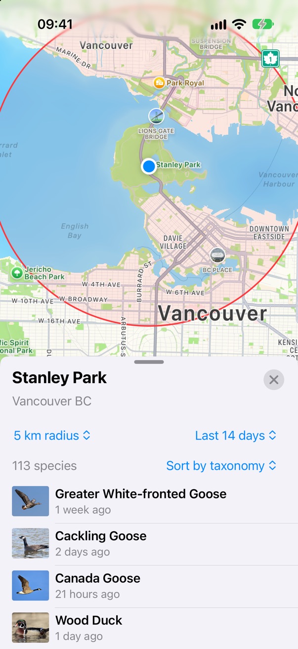 Today: red ring, pink fill