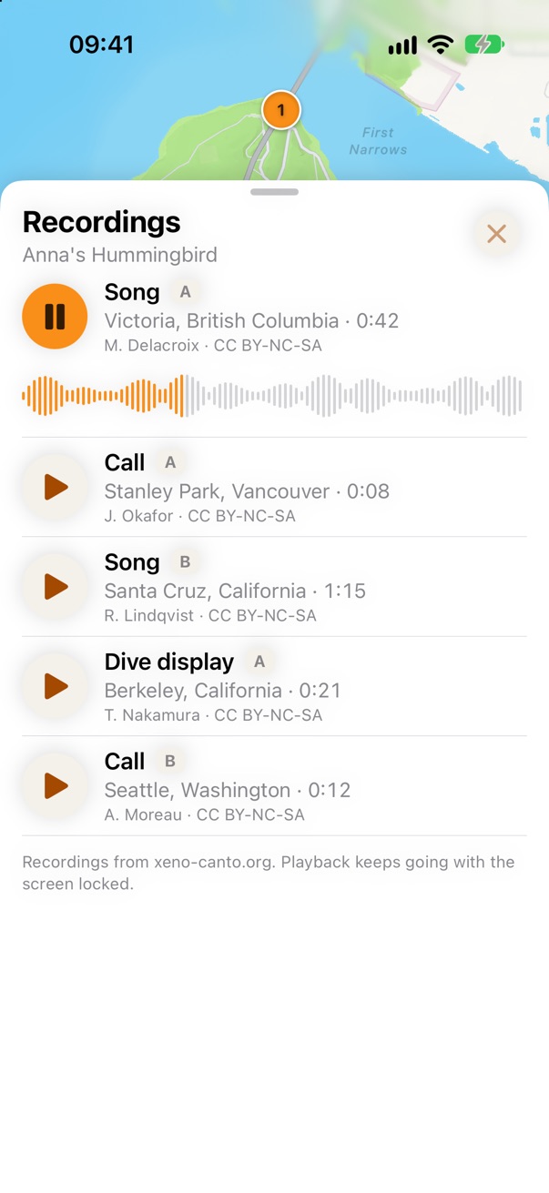 Songs and calls