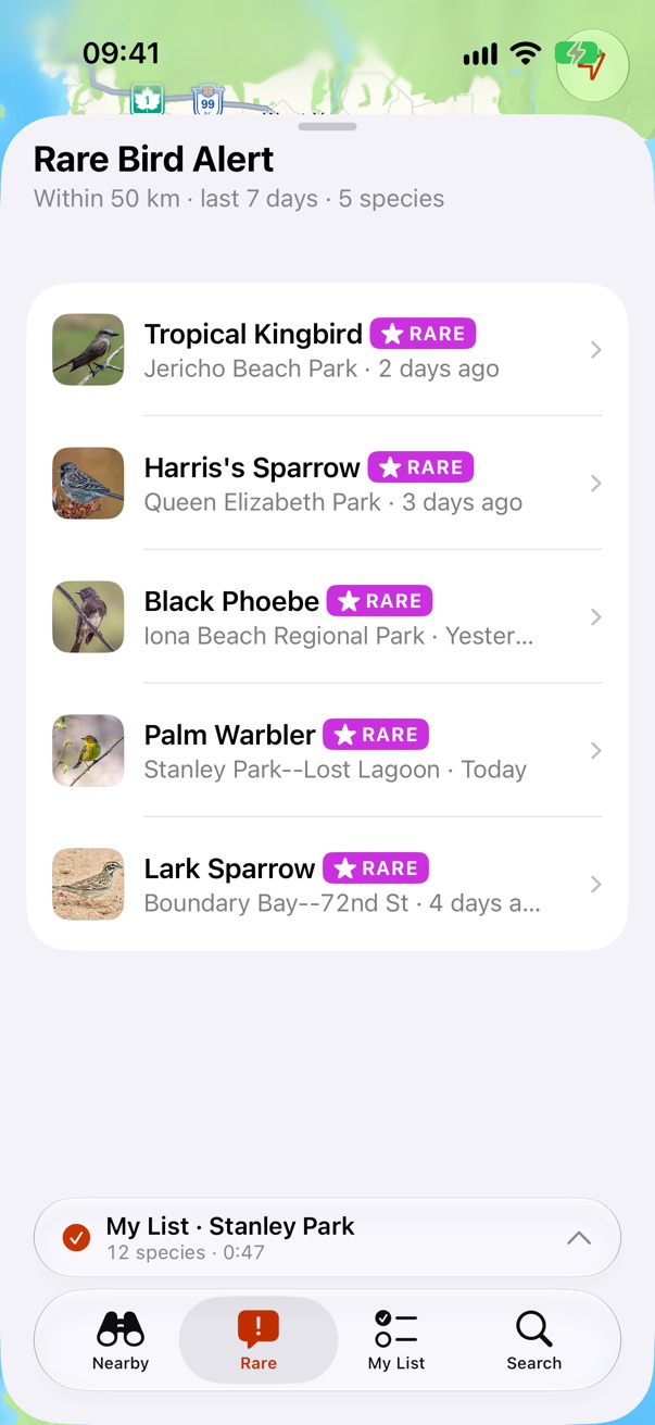 But not on Rare: five rows don't scroll, so the bar stays full